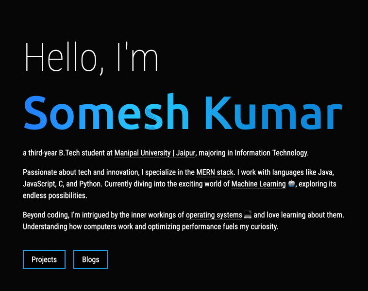 Portfolio Website